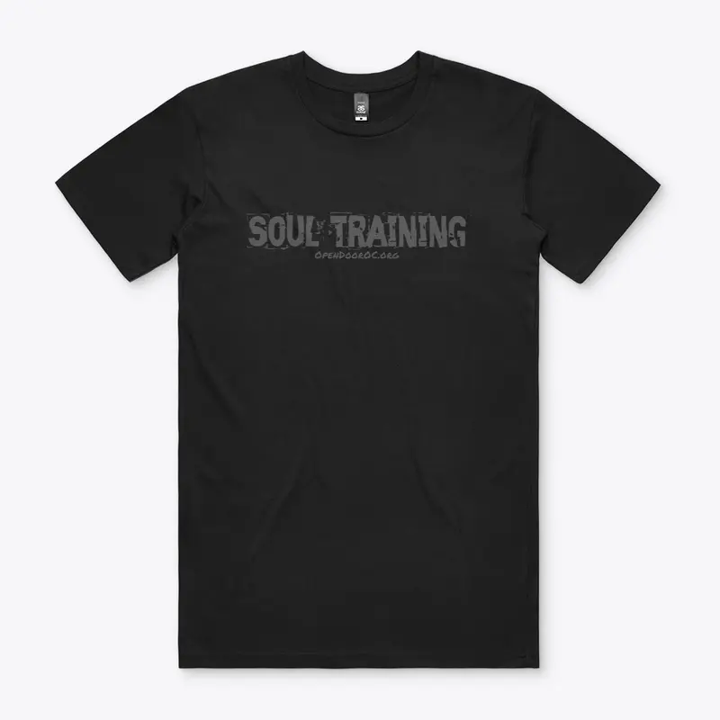 Soul Training At Open Door OC